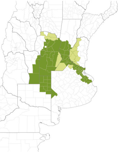 Producto Soja NEO50S22E - 1era Multiplic. Imagen 3