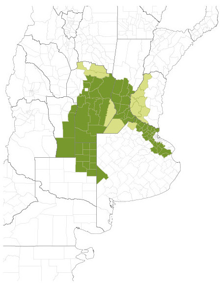 Producto Soja NEO50S22E - 1era Multiplic. Imagen 3