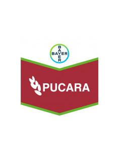 Producto Pucara Imagen 1