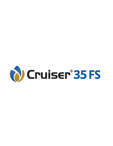 Producto Cruiser 35 FS Imagen 1