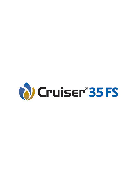 Producto Cruiser 35 FS Imagen 1