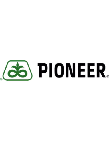 Producto Soja P80A02SCE -1era Multiplic. Imagen 2