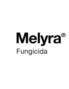Producto Melyra Imagen 1