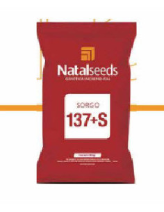 Producto Sorgo 137+S Imagen 1