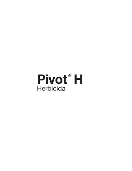 Producto Pivot H Imagen 1