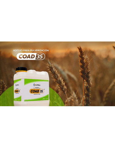 Producto Coad 35 Imagen 2