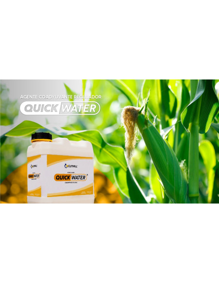 Producto QuickWater Imagen 2