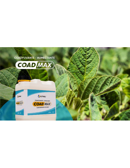 Producto Coad Max Imagen 2