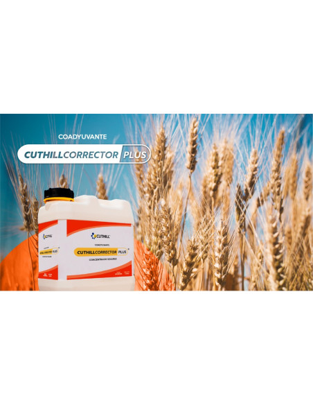 Producto Corrector Plus Imagen 2