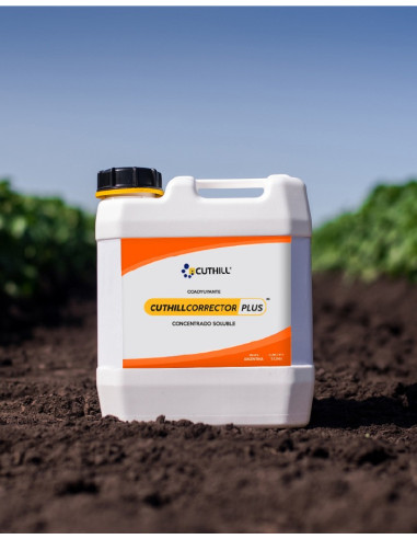 Producto Correcto Plus Imagen 3