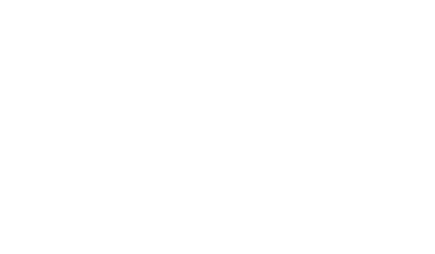 CAM