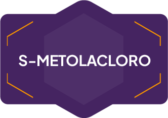 S-METALOCLORO
