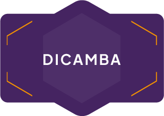 DICAMBA