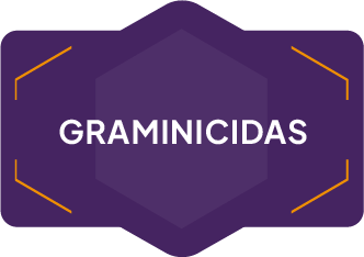 GRAMINICIDA